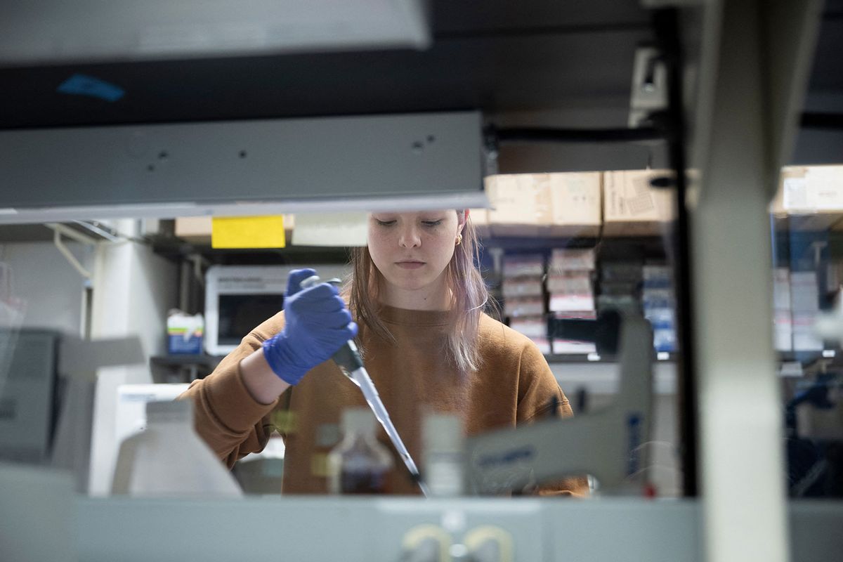 Lab technician pulls DNA and RNA from rhesus monkey bone marrow cells to verify gene editing in the laboratory of Dr. John Tisdale, a Senior Investigator at the National Heart, Lung, and Blood Institute's Cellular and Molecular Therapeutics Laboratory, at the National Institutes of Health on February 8, 2024, in Bethesda, Maryland. (BRENDAN SMIALOWSKI/AFP via Getty Images)