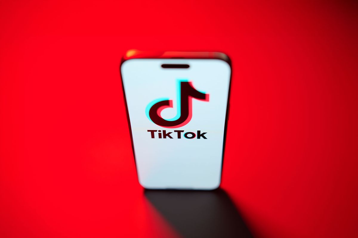 The TikTok app and logo are seen on a mobile device (Jaap Arriens/NurPhoto via Getty Images)