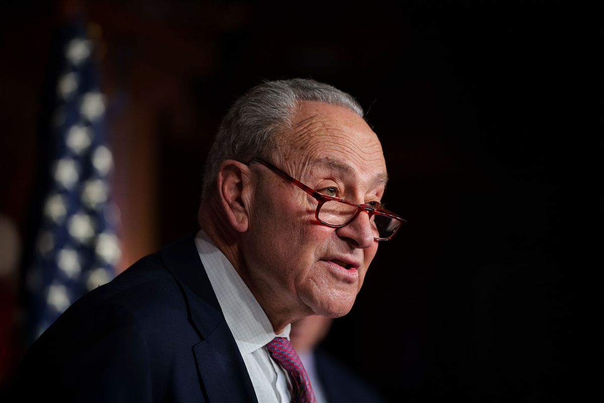 U.S. Senate Minority Leader Chuck Schumer (D-NY) speaks to press in the U.S. Capitol on February 03, 2025 in Washington, DC. (Kayla Bartkowski/Getty Images)