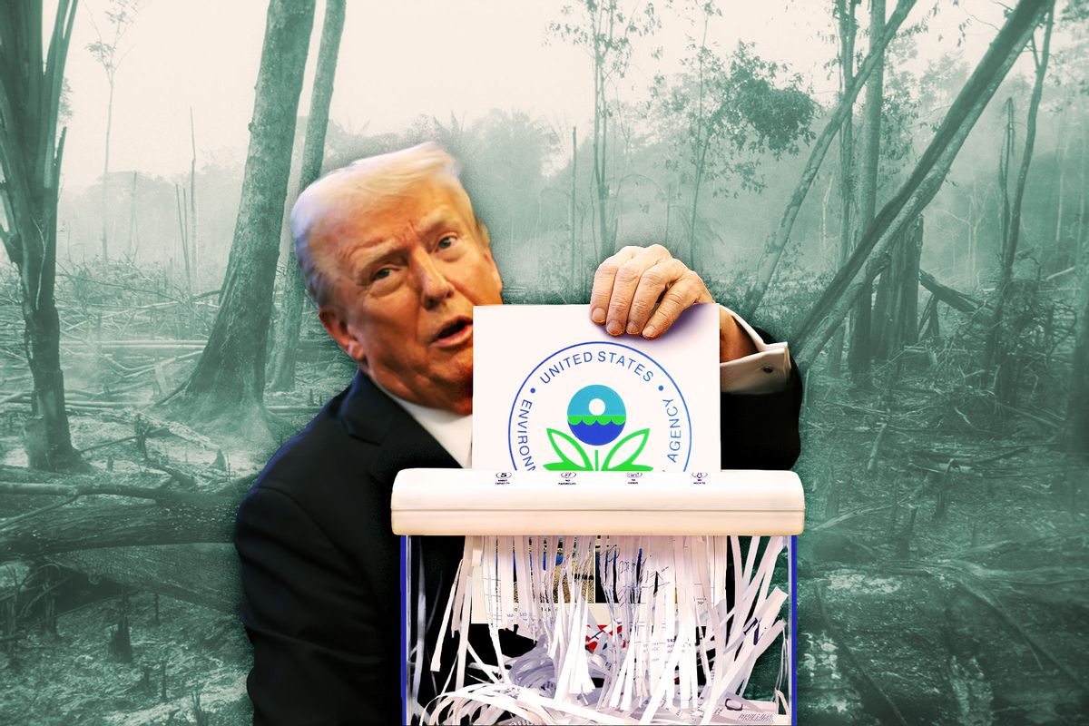 Donald Trump shredding the Environmental Protection Agency (EPA) logo (Photo illustration by Salon/Getty Images)
