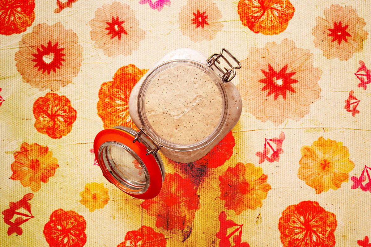 Sourdough starter (Photo illustration by Salon/Getty Images)