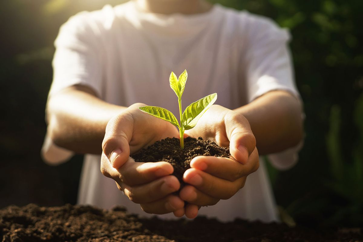 Child holding a small plant (Getty Images/lovelyday12)