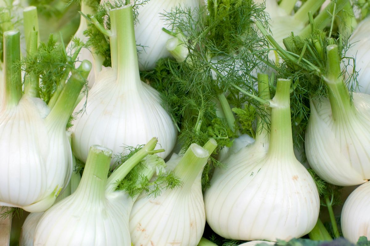 Fennel bulbs and fronds  (Getty Images)