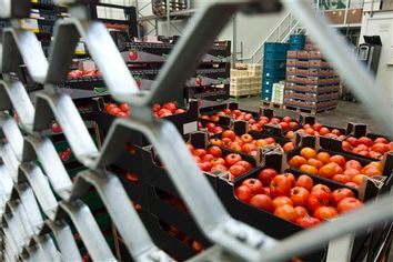 Germany EU Contaminated Vegetables