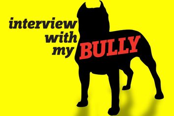 Interview with my bully