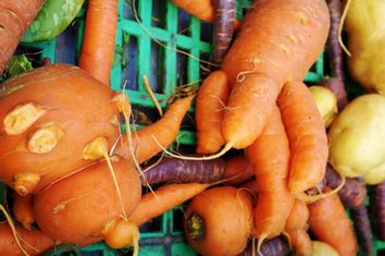 Ugly Carrots