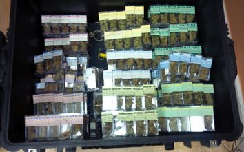 Marijuana Ring Arrests