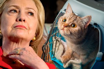 Hillary Clinton, Cat