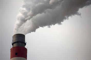 China Coal Consumption