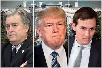 Steve Bannon; Donald Trump; Jared Kushner