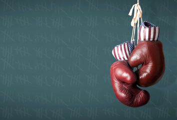 Republican Boxing Gloves