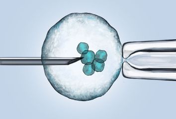 Cell held by pipet with needle