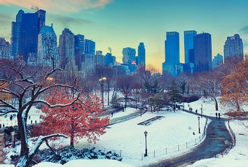 Winter in Central Park NYC