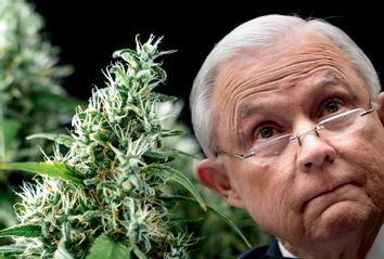 Jeff Sessions