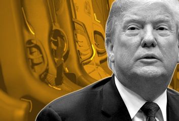 Donald Trump; Guns