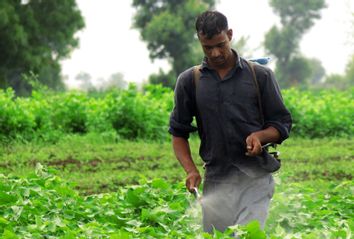 Cotton farmer