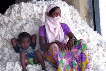 Cotton farmer; India