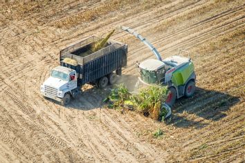 Harvesting corn in Maryland.