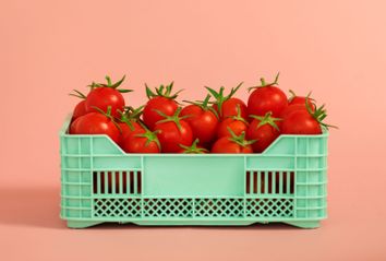 Cherry tomatoes in green plastic crate