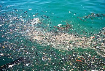 Trash in the ocean water