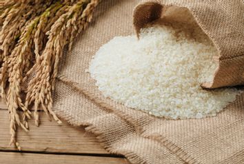 Raw rice grain and dry rice plant on wooden table