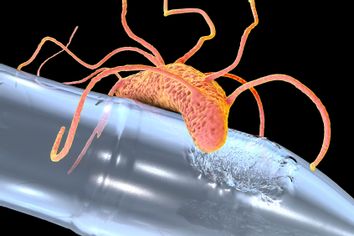 Plastic-degrading bacteria Ideonella sakaiensis, 3D illustration