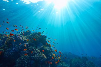 Sun beams shinning underwater on the tropical coral reef