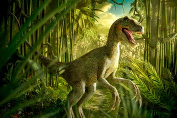 Velociraptor dinosaur in lush green jungle