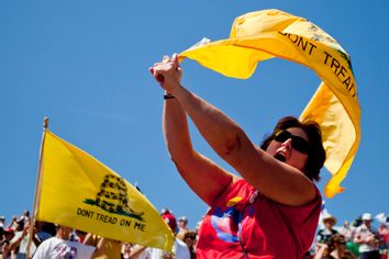 Tea Party Rallies