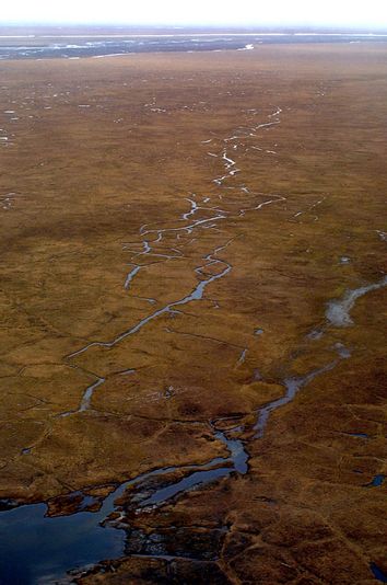 Arctic National Wildlife Refuge