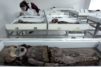 Chinchorro Mummies