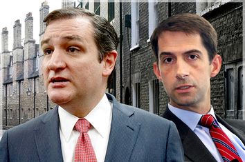 Ted Cruz, Tom Cotton