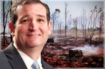 Ted Cruz