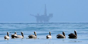 California Oil Spill-Things To Know