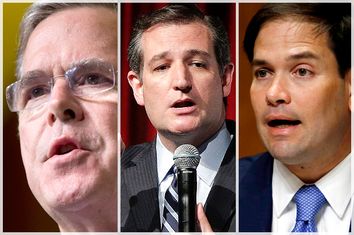 Jeb Bush; Ted Cruz; Marco Rubio