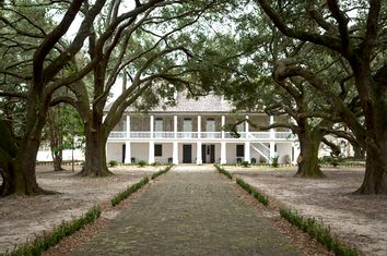 Plantation