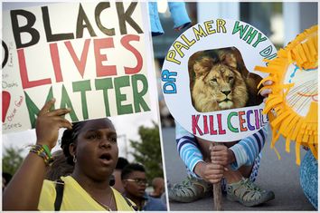 Black Lives Matter, Cecil Signs