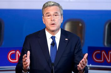 Jeb Bush