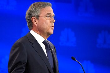 Jeb Bush