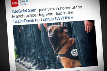 Je Suis Chien