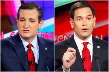 Ted Cruz, Marco Rubio