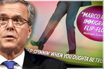 Jeb Bush