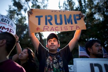 Anti-Trump Protester