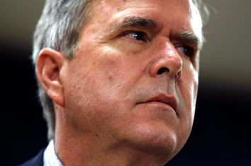 Jeb Bush