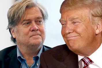 Stephen Bannon; Donald Trump