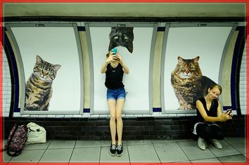 Commuters take selfies beside billboards showing photographs of cats inside Clapham Common underground station in London