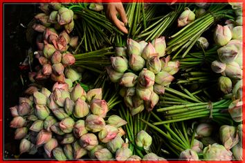 TOPSHOT-INDIA-RELIGION-FESTIVAL-FLOWERS