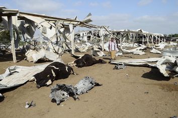 A man looks at cows killed by a Saudi-led air strike at a dairy farm in Bajil in Yemen's western province of Houdieda