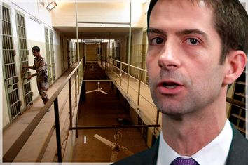 Tom Cotton; Abu Ghraib