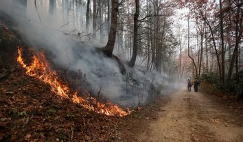 Southern Wildfires